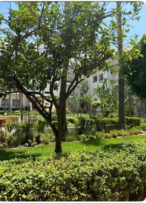 a tree in a park with a building in the background at Luxueux appartement Bay view dans une résidence avec magnifique jardin in Casablanca