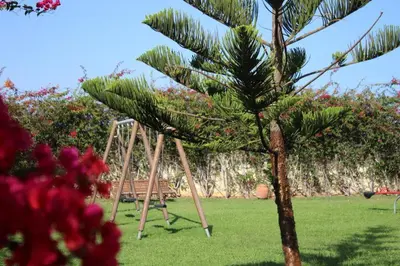 a palm tree next to a group of wooden poles at Appt 22 Bloc G- Hicherraton plage Residence Bella Vista, BOUZNIKA BAY in Skhirat