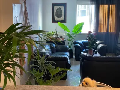 a living room with couches and potted plants at Private room in Casablanca