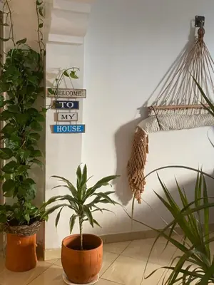 a room with plants and signs on the wall at Private room in Casablanca
