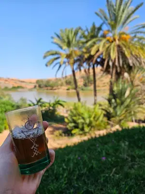 a person holding a cup with palm trees in the background at Lake House Boulaouane in El Jadida