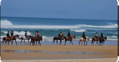 a group of people riding horses on the beach at Hébergement bord de mer in Casablanca