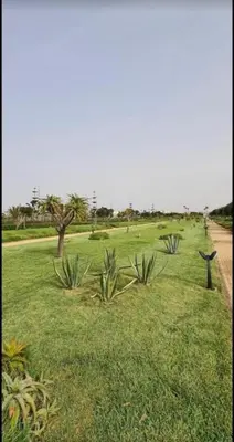 a field of grass with palm trees and a road at Lovely apartment at Ola Blanca 2 with WiFi in Sidi Rahal