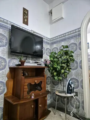 a living room with a tv and a potted plant at Welcome Loc T4 in Casablanca