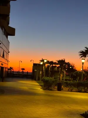 a sunset in a city with palm trees and street lights at Magnifique appartement pleine vue mer Marina Casablanca in Casablanca