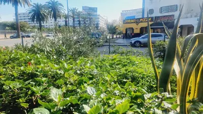 Gallery image of Happy Family Stay with Garden View Casablanca in Casablanca