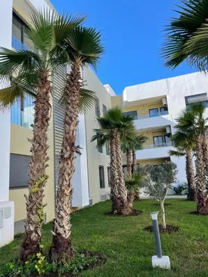Gallery image of Haut standing apartement secured residence in Oulad Mbark
