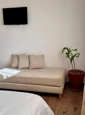 a room with a couch and a potted plant at Cozy 2 bedrooms flat at Dar Bouazza in Dar Bouazza