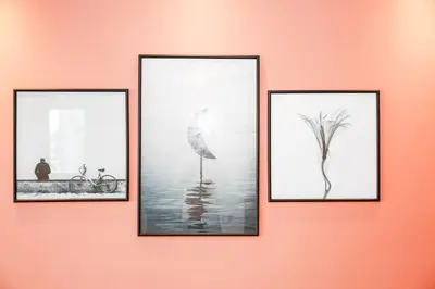 four framed pictures of a bird on a wall at Résidence Smalto - Bd Anfa in Casablanca