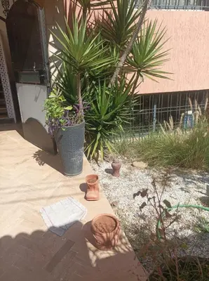 a garden with plants and pots on a patio at Appartement oulfa in Casablanca