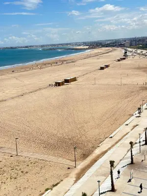 a view of a beach with palm trees and the ocean at Appartement confortable au corniche in Mohammedia