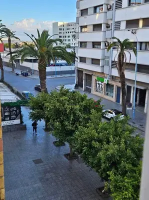 a person walking down a street with palm trees at Bel appartement en bord de mer in Casablanca