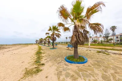 a row of palm trees on a sandy beach at Villa en bord de plage, située dans une résidence à El Mansouria, idéale pour une grande famille ou pour des personnes seules in Mansouria