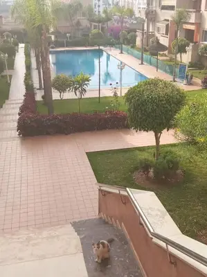 a dog standing on a sidewalk near a swimming pool at Sun Palace Palage des Sablettes D5 in Mohammedia