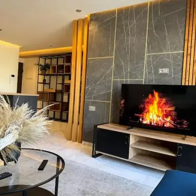 Classy presidential apartment
