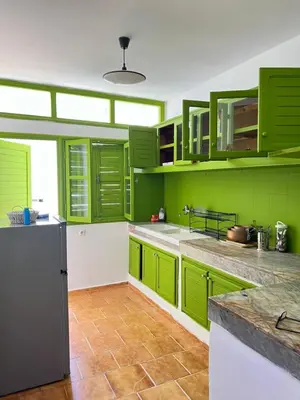 a green kitchen with green cabinets and a refrigerator at Grenn appt in Rabat