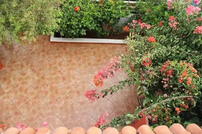 a garden with pink flowers and a window at Maison d'hôte sur la Plage de Bouznika in Bouznika
