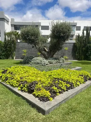 a garden of flowers in front of a building at Sancy Luxury rez de jardin avec piscine privée in Casablanca