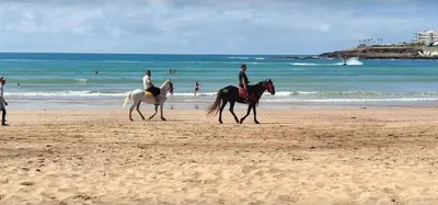 a group of people riding horses on the beach at Cité Marine in Mansouria