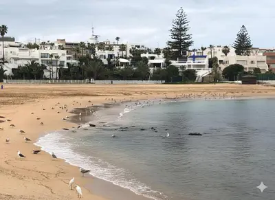 a flock of seagulls standing on a beach at Residence Luxueuse avec 2 Piscines à Harhoura Temara proximité plages princesses & Sables d'Or in El Harhoura