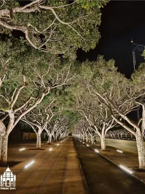 a road lined with trees at night with lights at Residence Luxueuse avec 2 Piscines à Harhoura Temara proximité plages princesses & Sables d'Or in El Harhoura