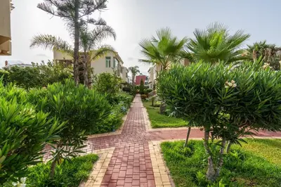 a brick path through a garden with palm trees at Maison avec Piscine Proche Plage in El Harhoura