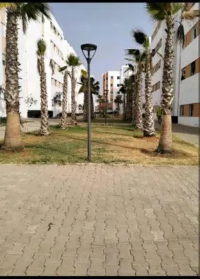 a park with palm trees and a light pole at Chez vous à Skhirate in Skhirat