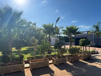 a row of benches in a park with palm trees at Villa Ines avec piscine privée in Sidi Moussa Ben Ali