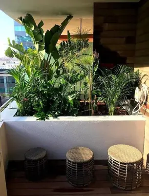 a counter with three stools and plants in a room at Marina Ocean Suite - By Appart'Ayla in Casablanca