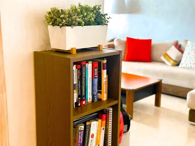 a book shelf with a potted plant on top of it at Cosy ensoleillé 3 CH - central et proche du train et tramway in Casablanca