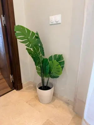a plant in a white pot in the corner of a room at Studio Iris CFC in Casablanca