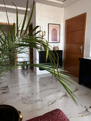 a plant sitting on top of a marble floor at Charm and Calm - Superbe appartement de luxe - Dahomy Beach - Bahia Beach in Bouznika