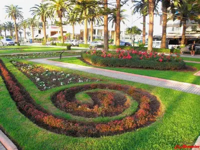 Gallery image of parc plaza studio in Mohammedia