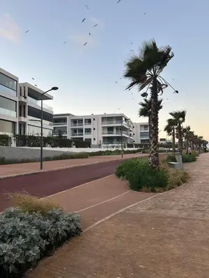 a palm tree in front of a building at Dar Bouazza getaway in Tamaris