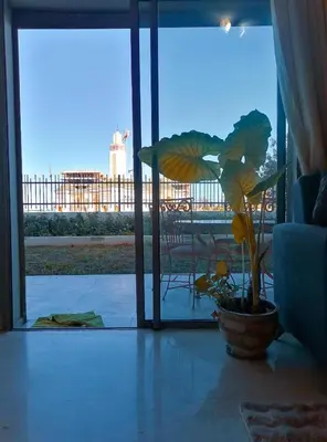 a plant in a pot in a room with a window at Zenitude in Casablanca