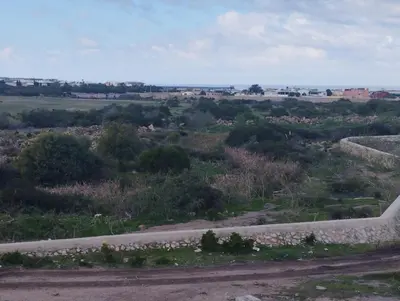 a view of a field with a dirt road at appartement jinane in Bouznika