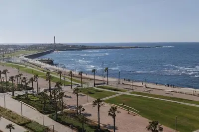 a view of a beach with palm trees and the ocean at Spacious Beachfront apartment in Casablanca