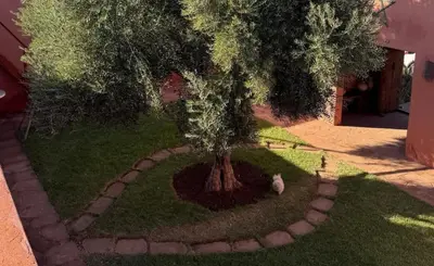 a tree sitting in the middle of a yard at Kasbah Oum Rabia in Boulaouane
