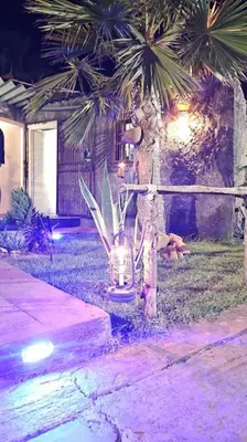 a palm tree with a light next to a house at Ferme Benslimane 30 min de rabat in O Ben Slimane