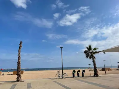 a bike parked next to two palm trees on a beach at Apparemment 300 m de la plage, Parc Mohammedia in Mohammedia