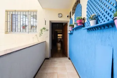a hallway with a blue wall with potted plants at Appartement Cosy Proche du Stade in Rabat