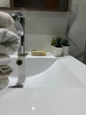 a bathroom sink with two potted plants on it at Stylish 2 bedroom, in the heart of Casablanca in Casablanca