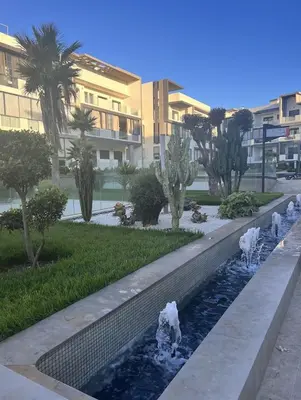 a group of white birds standing in a water fountain at Les crêtes dar bouazza in Casablanca