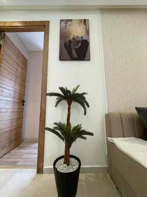 a palm tree in a black pot in a room at Golden Spot Casablanca in Casablanca