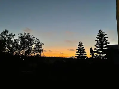 a sunset with three trees in a field at Luxurious Golf Villa with Pool in Bouskoura