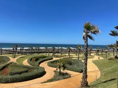 a palm tree in a park next to the beach at Appartement pied sur mer- resid férmé- pscine in Tamaris