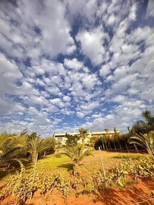 a house with palm trees and a cloudy sky at Ferme de luxe in O Ben Slimane