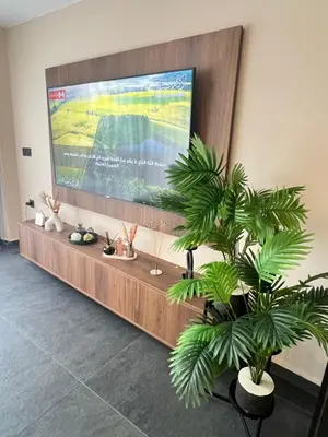 a large projection screen in a room with a plant at Quart des hôpitaux duplex luxe et sérénité in Casablanca