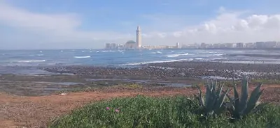 a view of the beach with a city and the ocean at best location single room in Casablanca