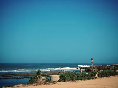 a sandy beach with palm trees and the ocean at Appartement au Bord de Mer in Casablanca